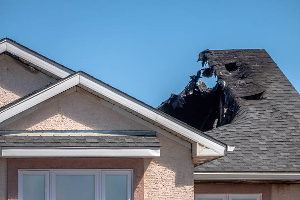 Top rated local Fire Damage Removal specialists in Bellmawr, NJ